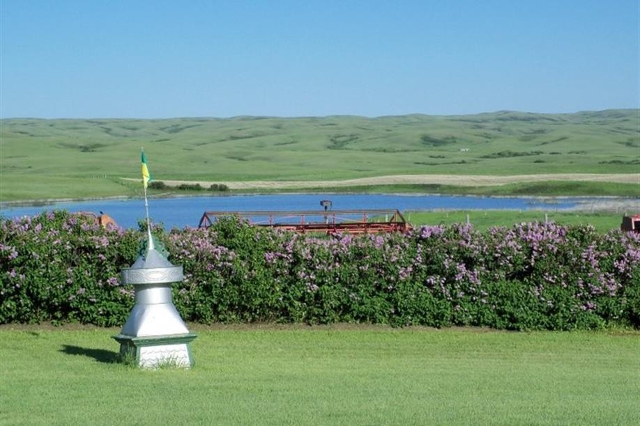 Spring Valley landscape