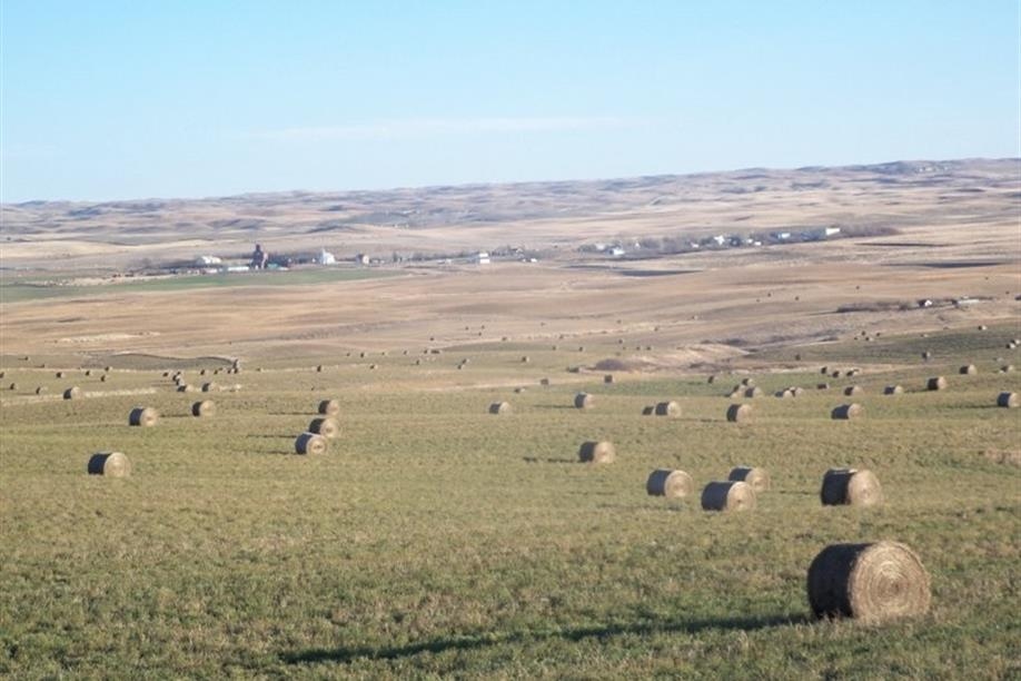 Spring Valley landscape