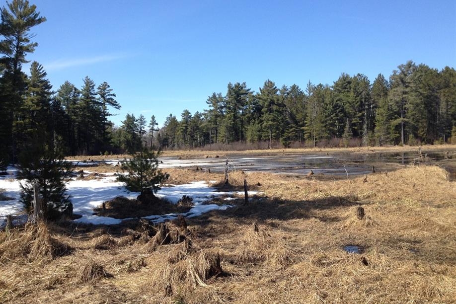 Stillar's Western Outfitters