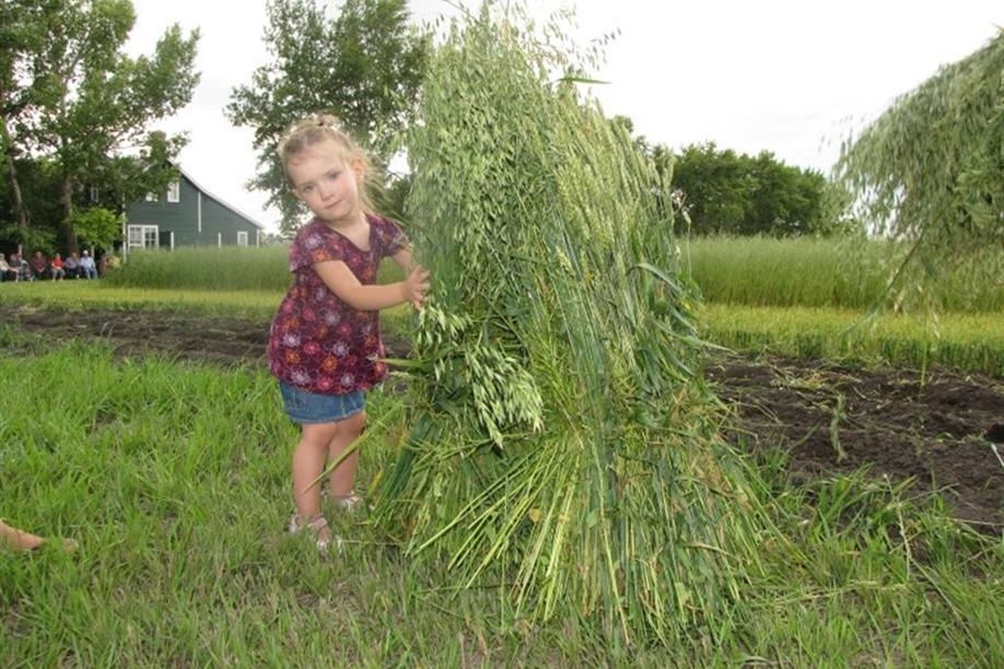 Motherwell Homestead National Historic Site of Canada - The next generation