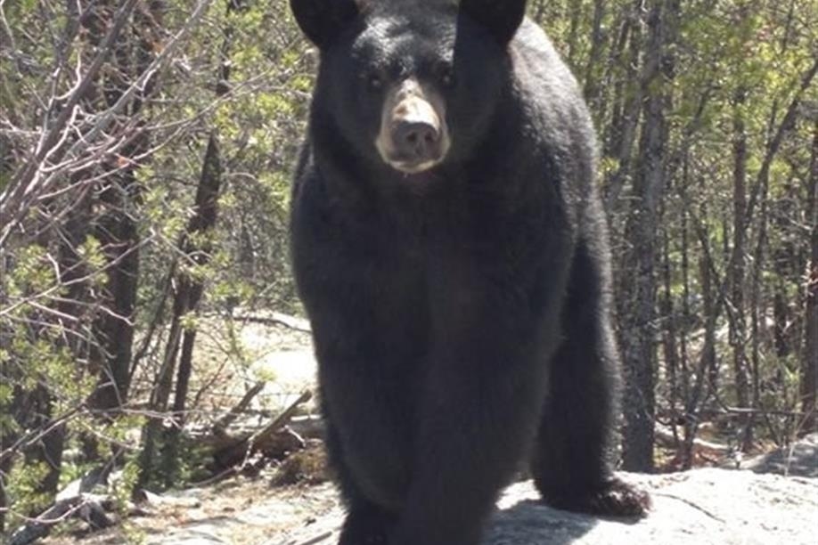 Trails End Outfitters