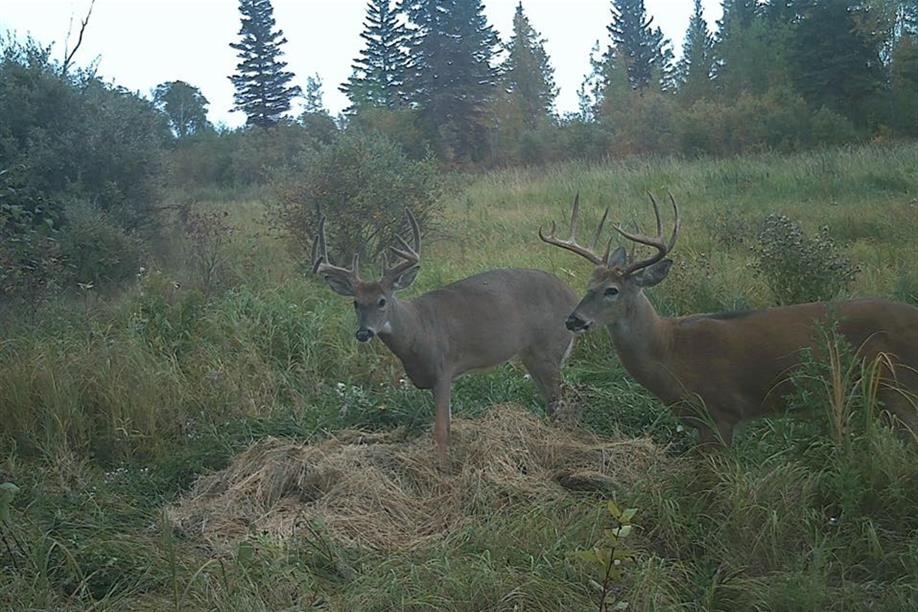 Trapper Creek Outfitters