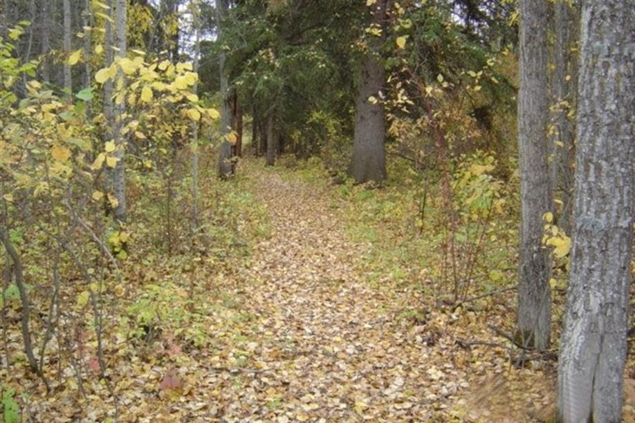 Turtle Lake Nature Sanctuary
