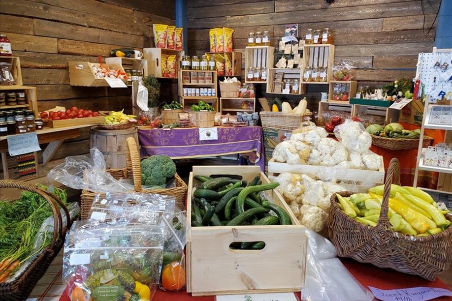 The Wandering Market