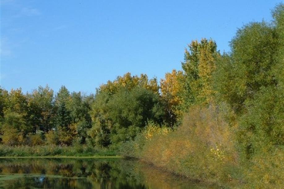 Waldheim Regional Park