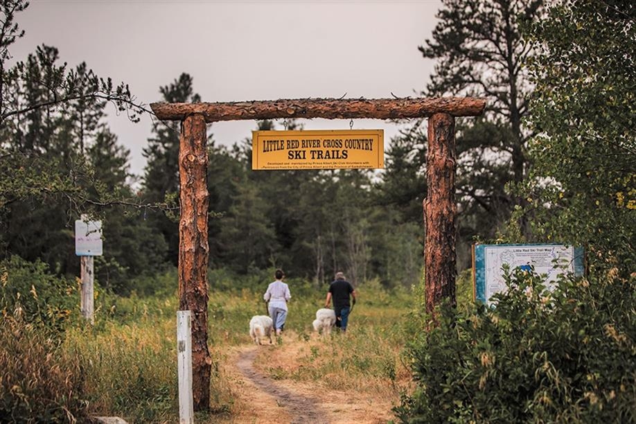 Little Red River Park - Walking trails