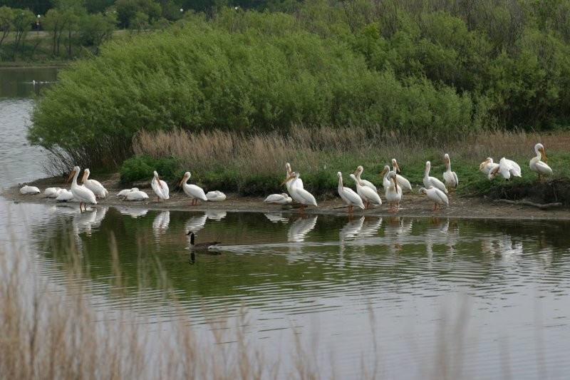 Regina - Wascana Centre Trails 