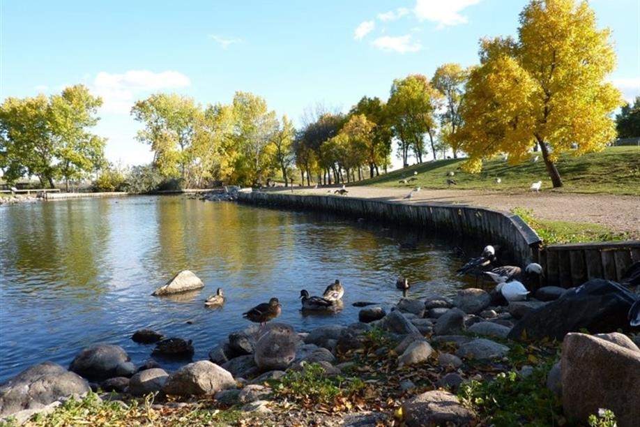 Waterfowl Display Ponds - Image: Kathy Rosenkranz