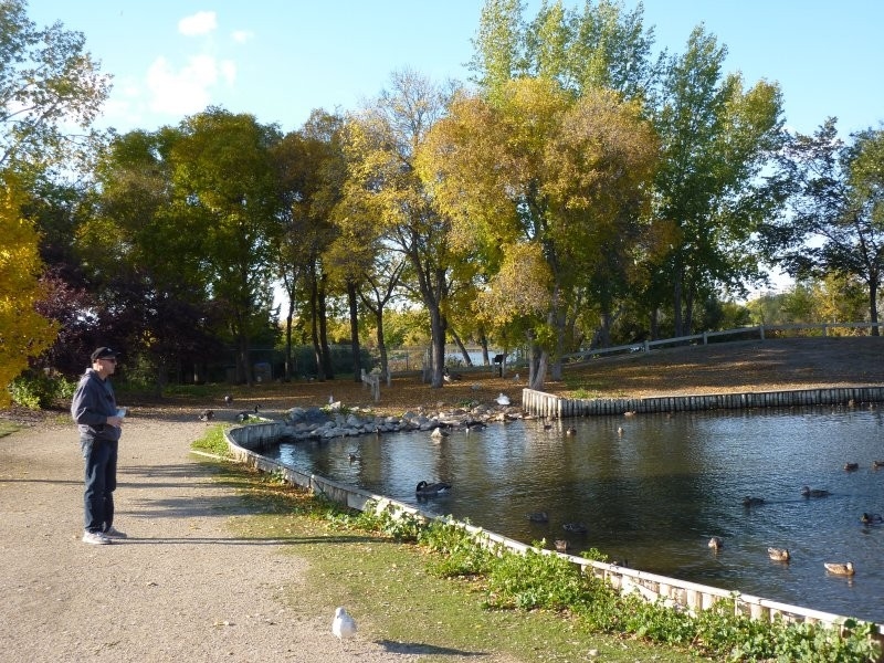 Waterfowl Display Ponds