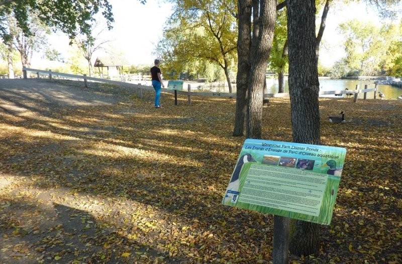 Waterfowl Display Ponds
