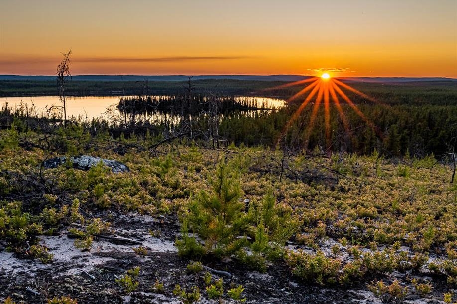 Wolverman Wilderness Outfitters Ltd