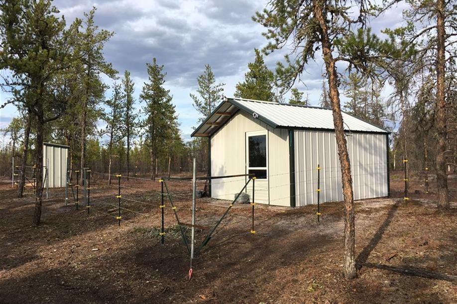 Wolverman Wilderness Outfitters Ltd