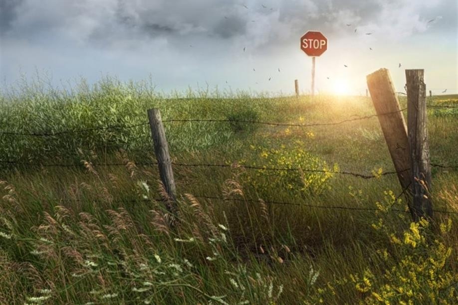 Women on the Go Tours