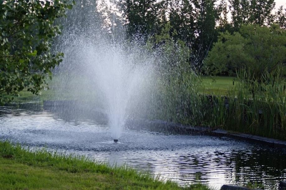 Wynyard Golf Club
