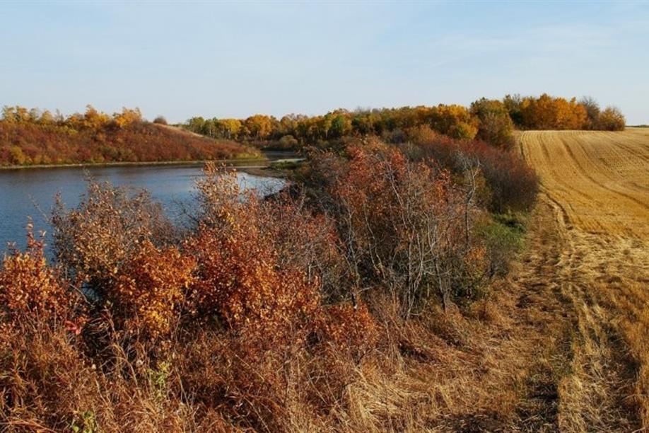 Wynyard Regional Park