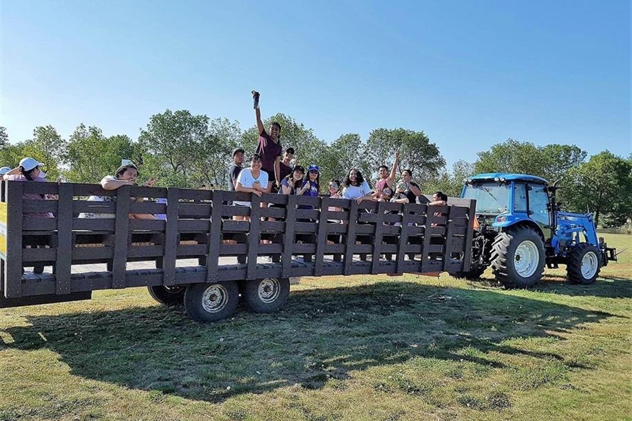 Youth Farm Corn Maze