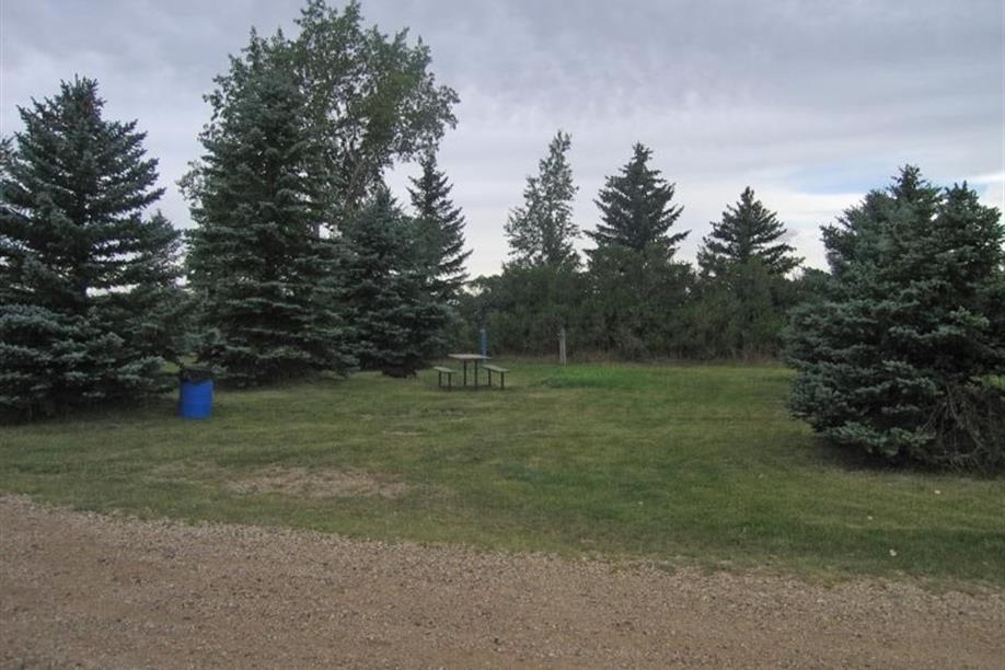 Yellow Grass Lions Park