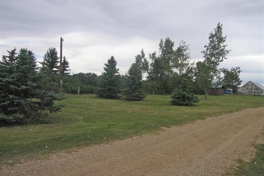 Yellow Grass Lions Park