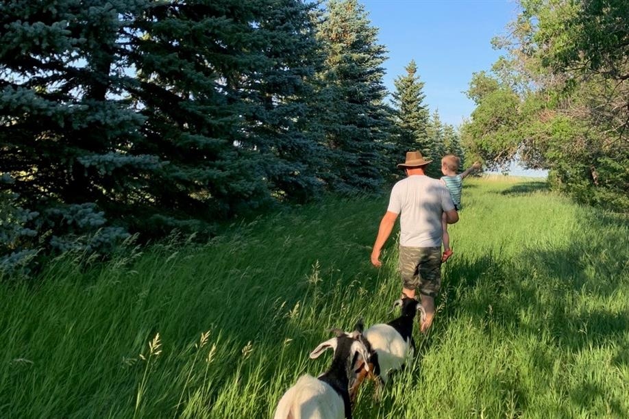 Alive Sky Lodge and BINcredible