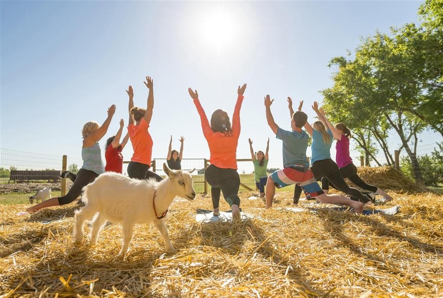 Grotto Gardens Family Fun Farm