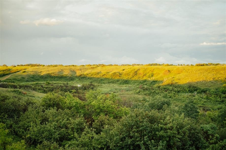 Wanuskewin Heritage Park Trails