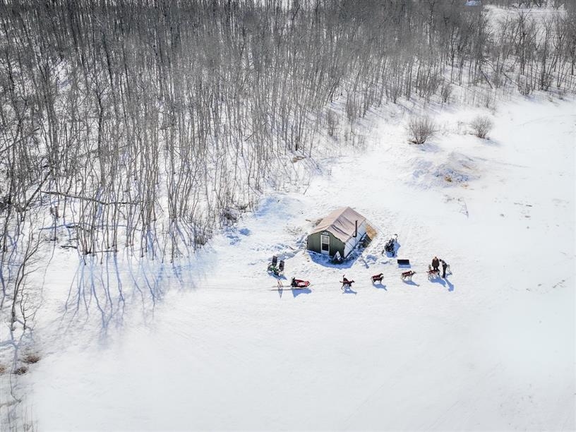Campbell's Racing Sled Dogs