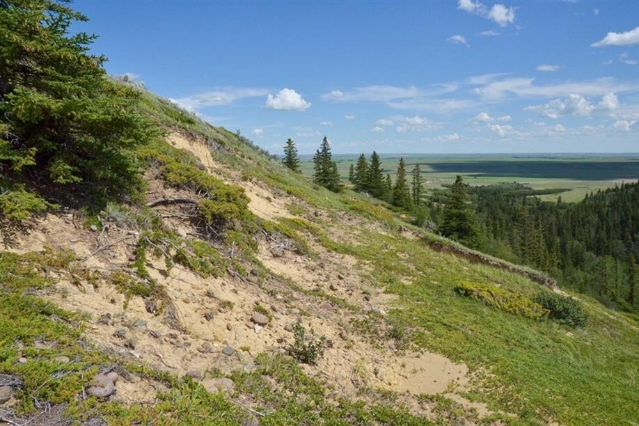 Chimney Coulee Historic Site