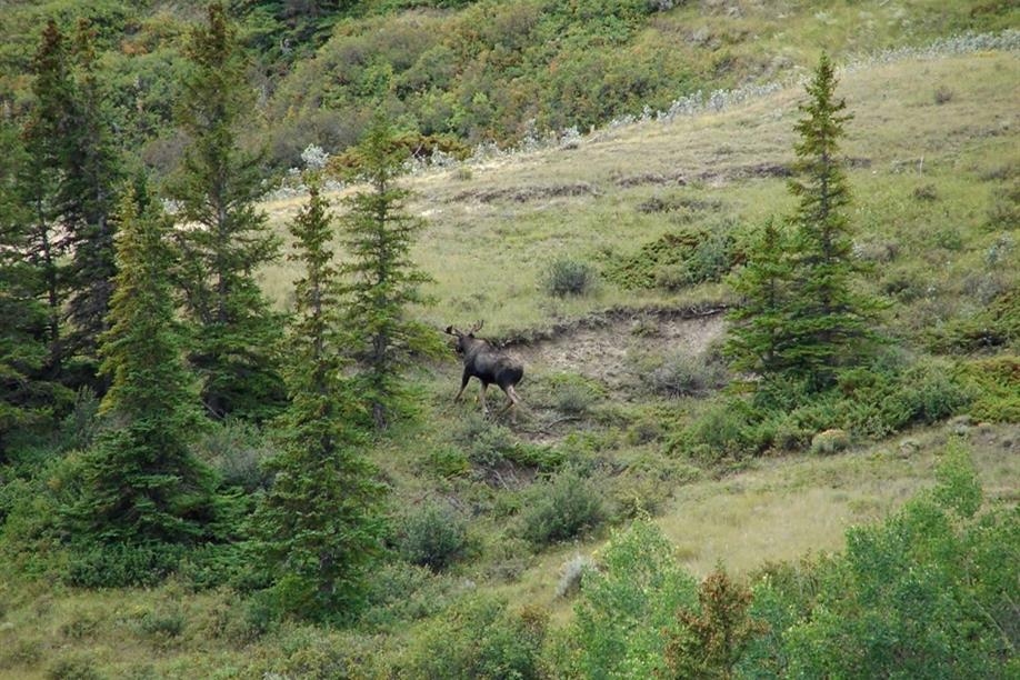 Chimney Coulee Historic Site