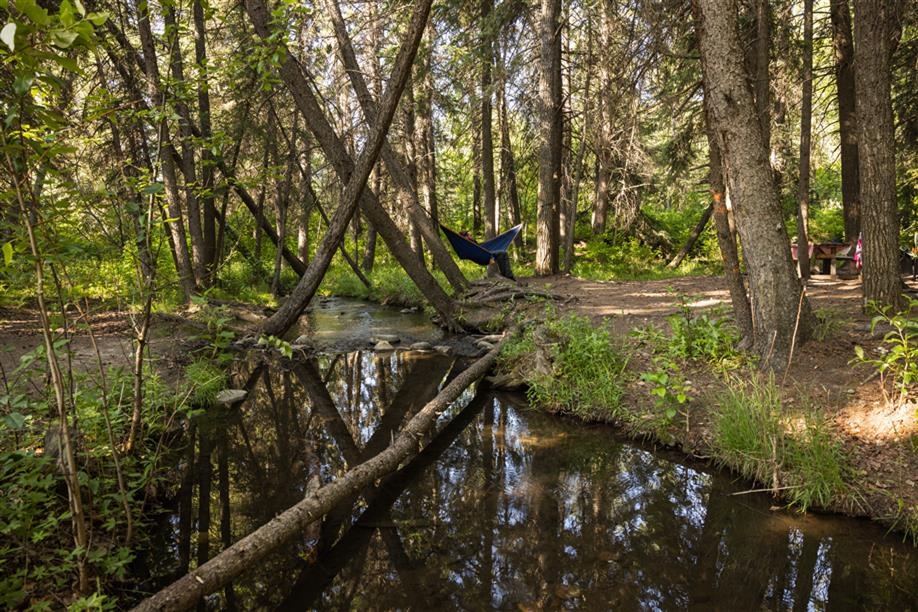 Pine Cree Regional Park