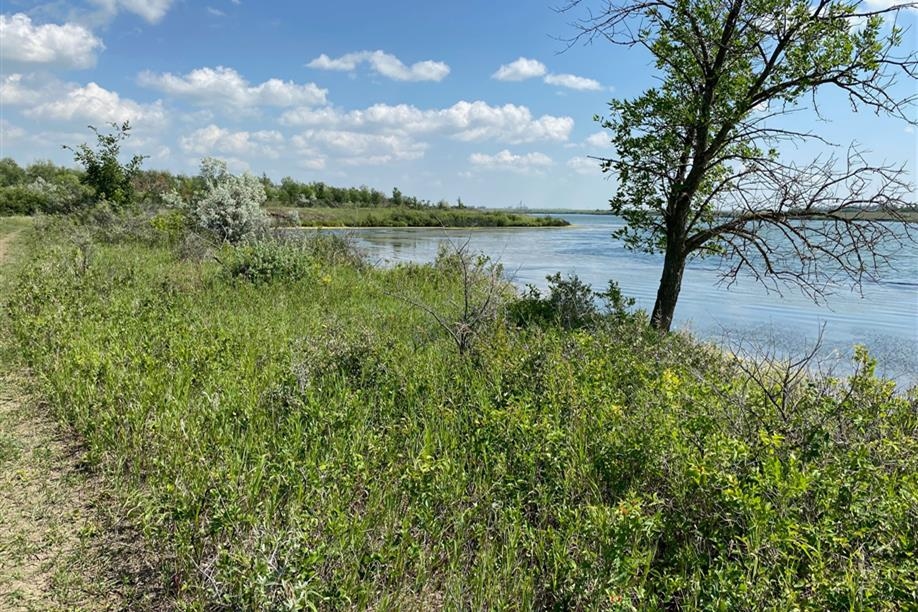 Condie Nature Refuge