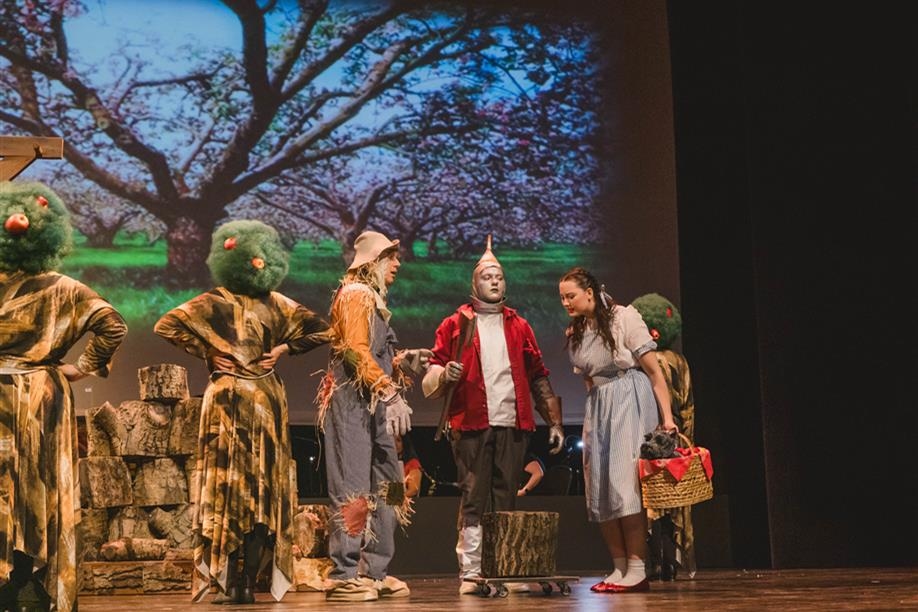 E. A. Rawlinson Centre for the Arts