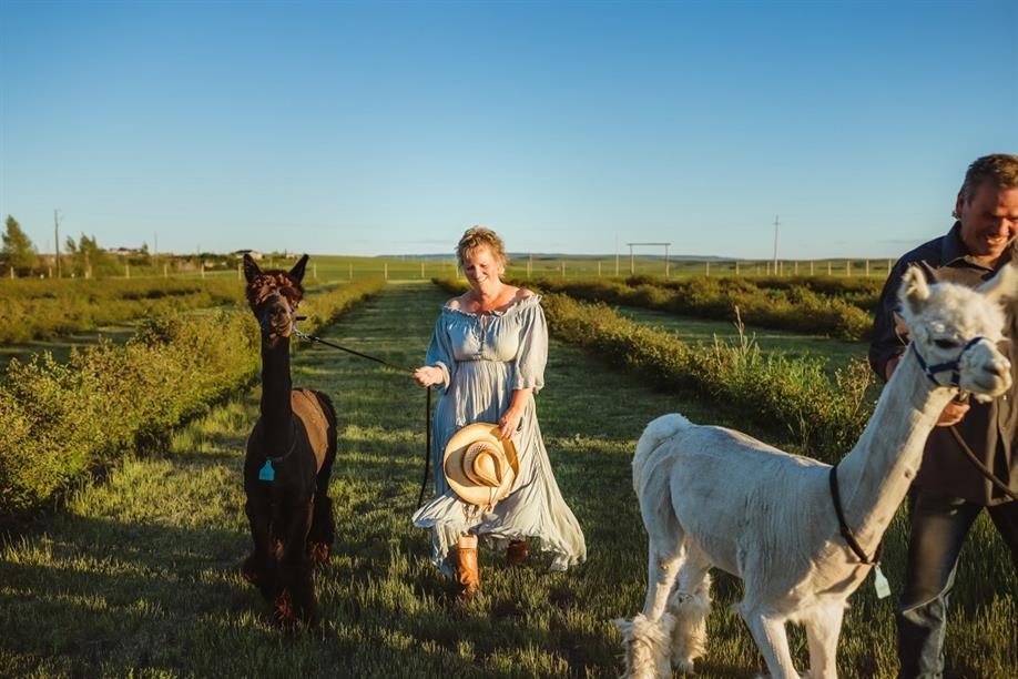Grotto Gardens Family Fun Farm - Alpaca Walk