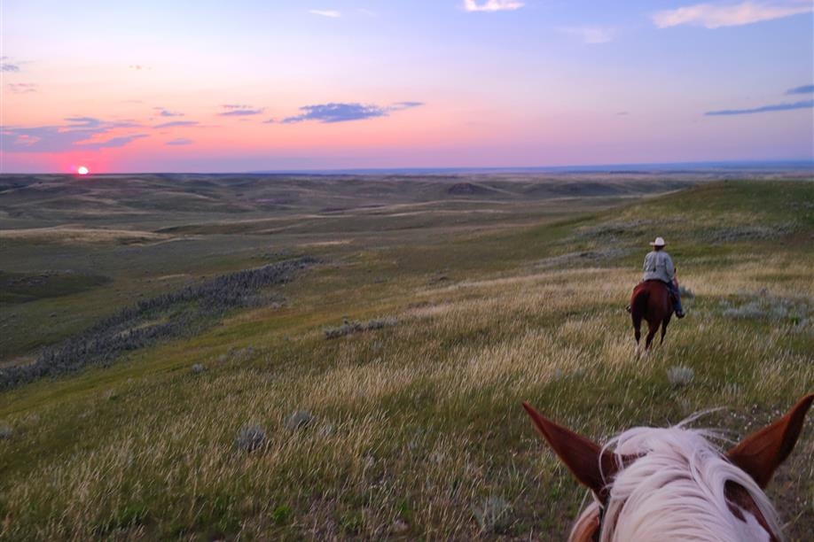 Heritage Outfitting - HI Horse Adventures