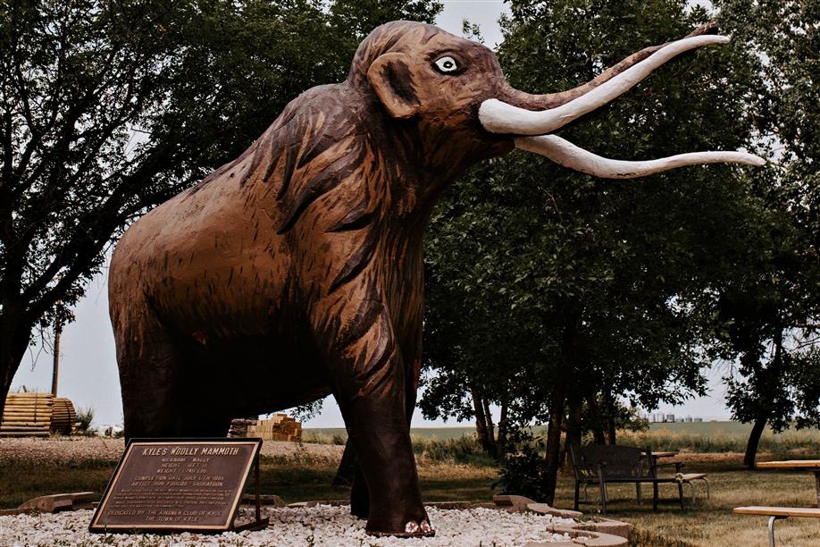 Kyle Woolly Mammoth