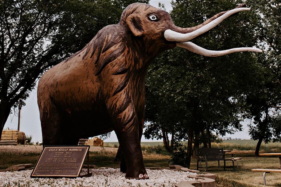 Kyle Woolly Mammoth Attraction