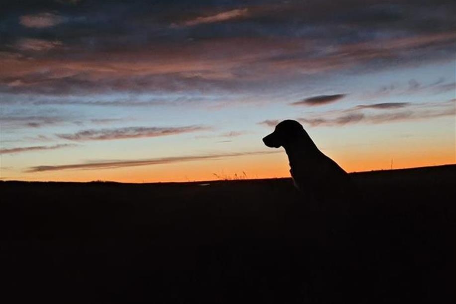 Lines in the Sky Outfitting