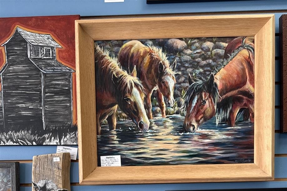 Northern Lights Gallery