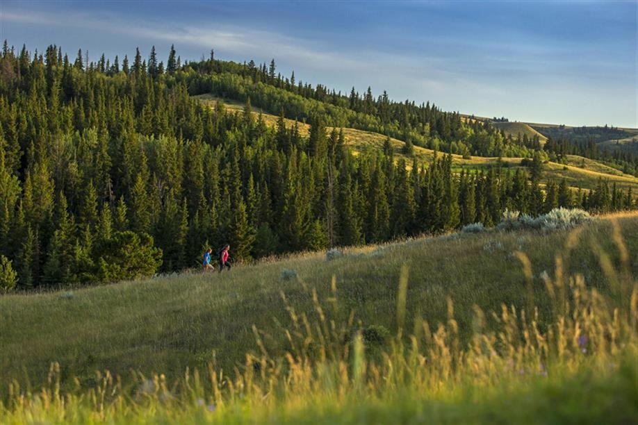Fort Walsh National Historic Site