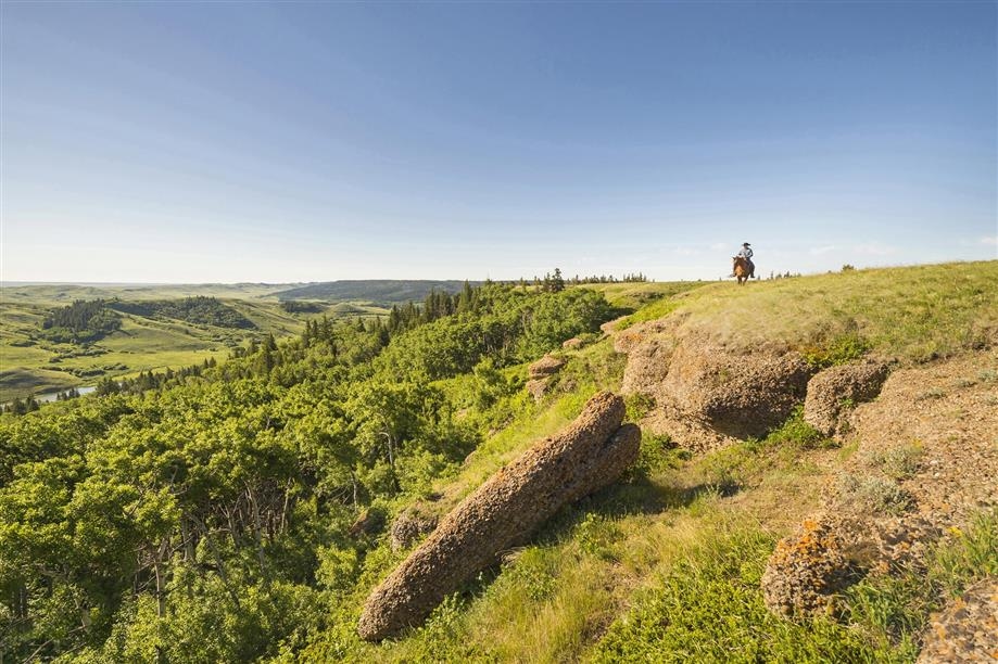 Cypress Hills Interprovincial Park