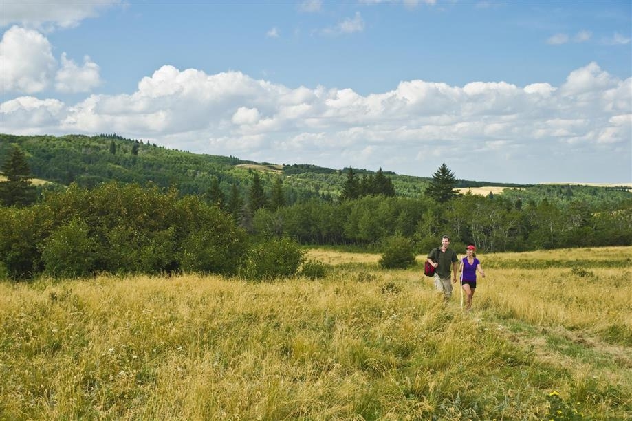 Cypress Hills Interprovincial Park Trails