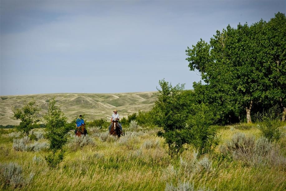 Saskatchewan Landing Provincial Park Trails