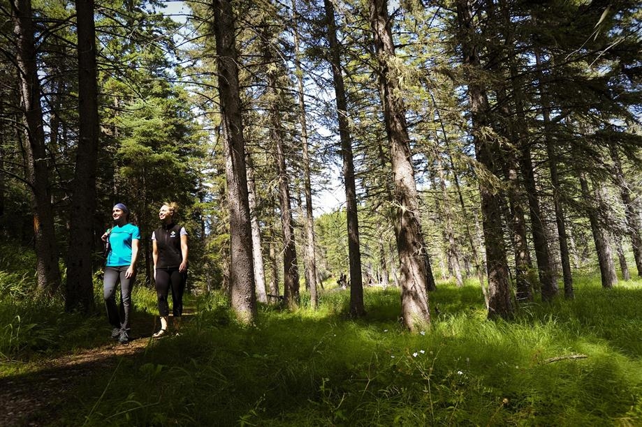 Cypress Hills Interprovincial Park Trails