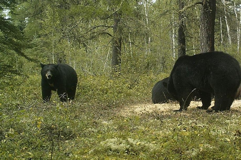 Otter Creek Outfitters