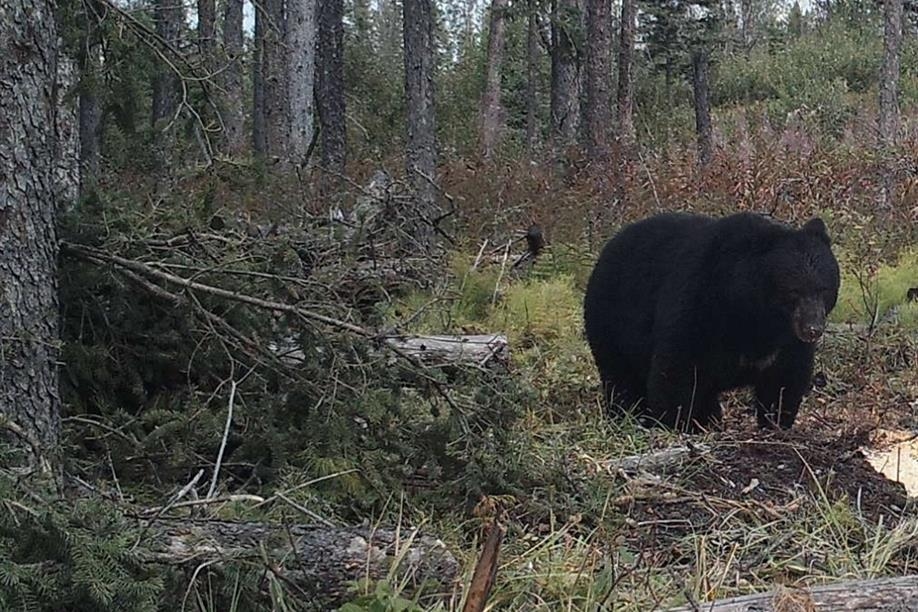 Otter Creek Outfitters