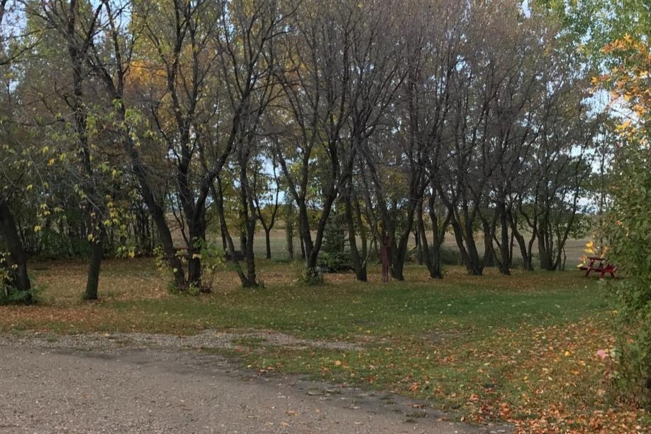 Plaza Mobile Home Park