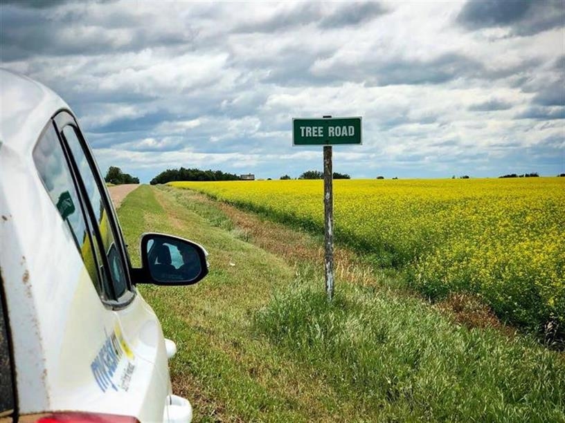 The Popoff Tree; Photo: Saskatchewanderer/Tourism Saskatchewan