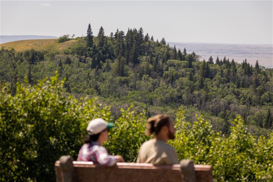 Cypress Hills - Lookout Point