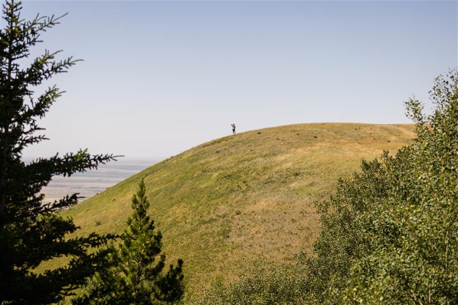 Cypress Hills - Bald Butte