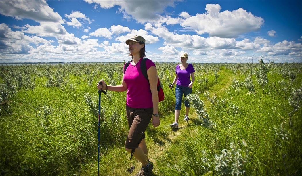 Douglas Provincial Park Trails