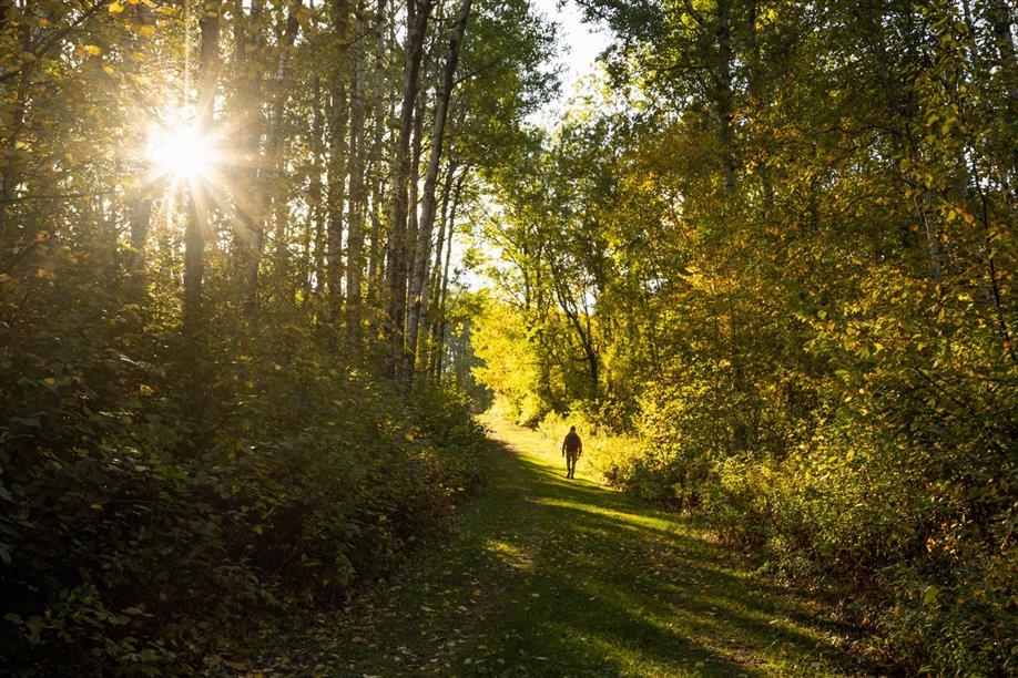 Great Blue Heron Provincial Park - Anglin Lake Trails